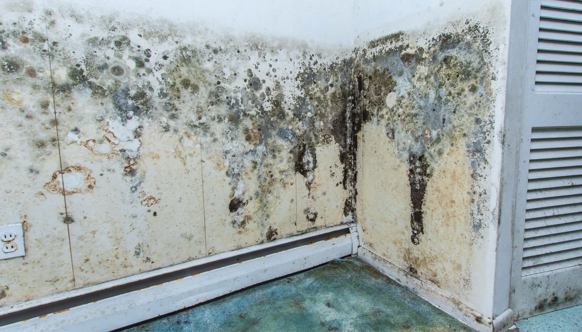 A mold remediation team using specialized techniques to remove mold damage and control odors in a Omaha property, with a focus on safety and efficiency